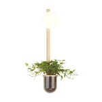 Для растений