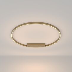 Потолочный светильник Maytoni MOD058CL-L65BS3K