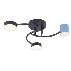 Потолочный светильник Freya FR6048CL-L6B