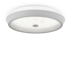 Потолочный светильник Freya FR10012CL-L24W