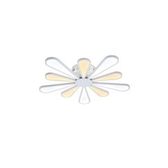 Lucia Tucci Miracoli 202.10 LED
