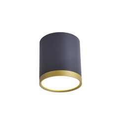 3081-1C, потолочный светильник, D68xH75, LEDx5W, 250LM, 4000K, IP20, included