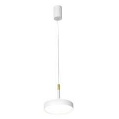 4505-1P, подвес, D125xH210/1800, LEDx10W, 650LM, 4000K, CRI>90, included, dimmer