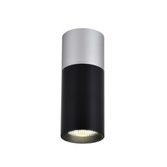 3072-1C, потолочный светильник, D50xH139, LEDx5W, 350LM, 4000K, IP20, included