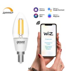 Светодиодная лампа Gauss SMART HOME С35 4,5W 495Lm 2700K E14 1230112