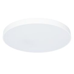 Потолочный светильник Arte Lamp ARENA A2671PL-1WH