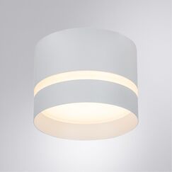 Точечный накладной светильник Arte Lamp IMAI A2265PL-1WH