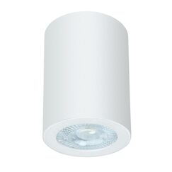 Точечный накладной светильник Arte Lamp TINO A1468PL-1WH