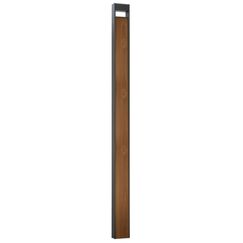 Ландшафтный светильник Arte Lamp ARNEB A2140PA-1BR