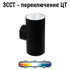 Фасадный светильник Arte Lamp ALCYONE A6109AL-2BK