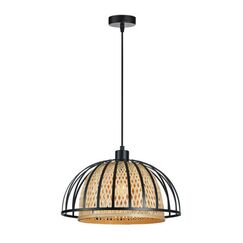 Подвесной светильник Arte Lamp WOODSTOCK A7071SP-1BK