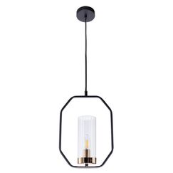 Подвесной светильник Arte Lamp CELAENO A7004SP-1BK