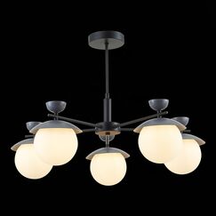 SLE220202-05 Светильник потолочный Черный, Серый/Белый G9 5*5W GENOVA