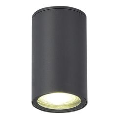 SL9010.712.01 Светильник уличный потолочный ST-Luce серый GU10 1*50W TUBO