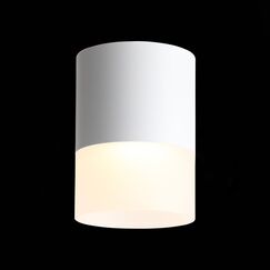 ST100.502.15 Светильник потолочный Белый LED 1*15W 3000K 1 170Lm Ra>80 120° D118xH150 170-240V Накладные светильники