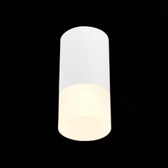 ST100.512.01 Светильник потолочный Белый GU10 1*50W IP20 D64xH131 220V Без ламп Накладные светильники