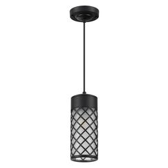 4834/1 NATURE ODL21 742 черный/стекло Ландшафтный светильник-подвес E27 1*60W IP44 DUNES