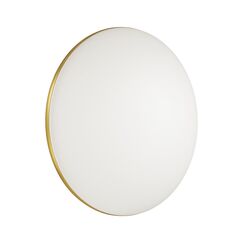 Настенно-потолочные светильники Sonex 3043/DL