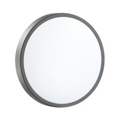 Настенно-потолочные светильники Sonex 3012/AL