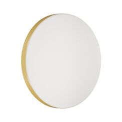 Настенно-потолочные светильники Sonex 3066/CL