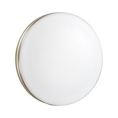 Настенно-потолочные светильники Sonex 3015/CL