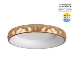 Настенно-потолочные светильники Sonex 7771/56L