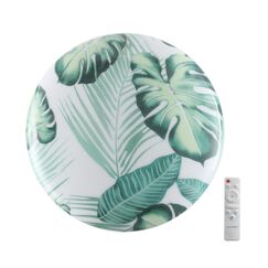 Настенно-потолочные светильники Sonex 7748/DL