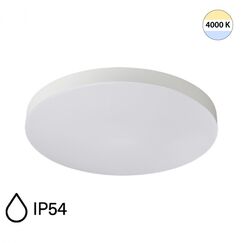 Настенно-потолочные светильники Sonex 7759/24L