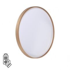 Настенно-потолочные светильники Sonex 7783/EL