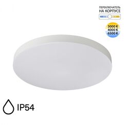 Настенно-потолочные светильники Sonex 7759/50L