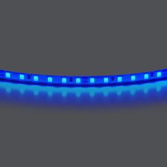 420515 Лента LIGHTSTAR LED 24V 12W 120leds/M 1600 LM/M blue IP20 1шт = 5м