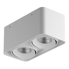 052126-IP65 Светильник MONOCCO LED 2х10W 1200LM 30G БЕЛЫЙ 4000K