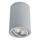 Точечный накладной светильник Arte Lamp SENTRY A1560PL-1GY