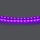 420518 Лента LIGHTSTAR LED 24V 12W 120leds/M 1600 LM/M purple IP20 1шт = 5м