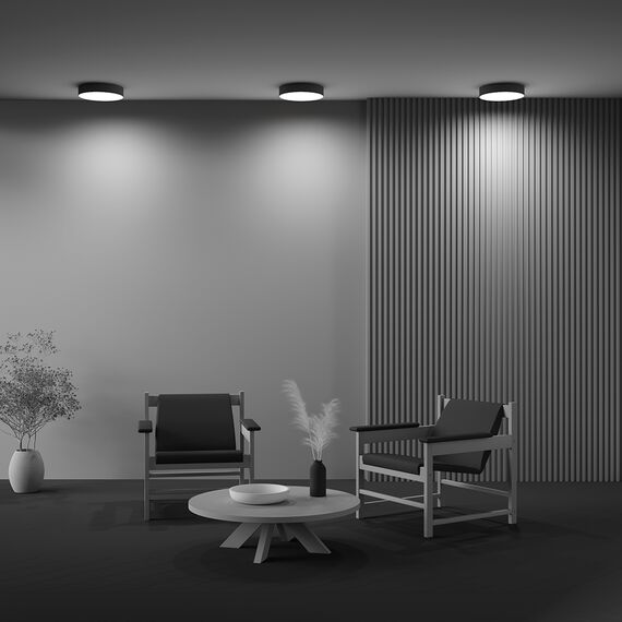 Потолочный светильник Technical C032CL-36W4K-RD-B, изображение 11