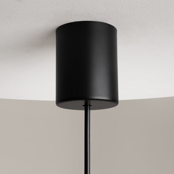 Подвесной светильник Maytoni Z020PL-L6B3K, изображение 11