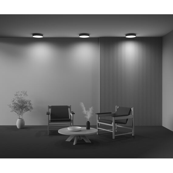 Потолочный светильник Technical C032CL-36W4K-RD-B, изображение 13