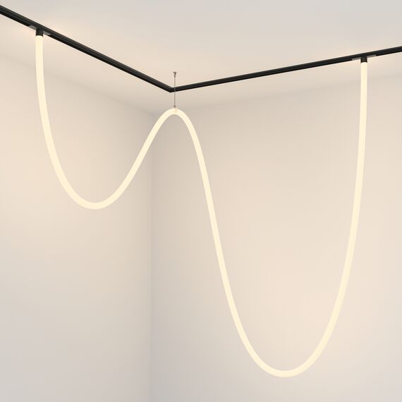 Трековый подвесной светильник Technical TR101-2-100W3K-B, изображение 4