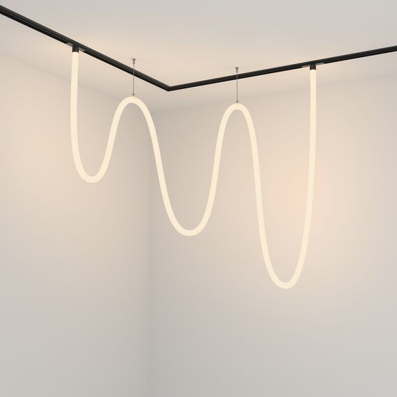 Трековый подвесной светильник Technical TR101-2-100W3K-B, изображение 5