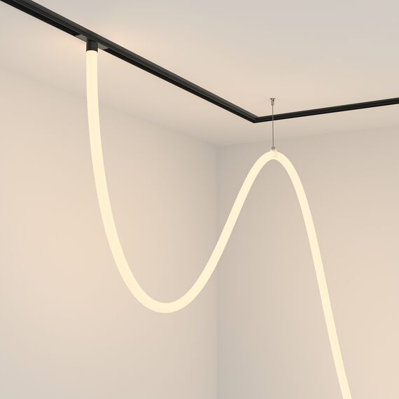 Трековый подвесной светильник Technical TR101-2-100W3K-B, изображение 2