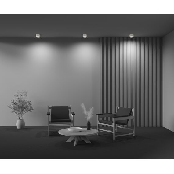 Потолочный светильник Technical C032CL-12W2.7K-RD-W, изображение 8