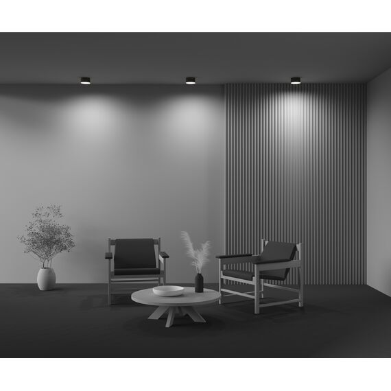 Потолочный светильник Technical C032CL-12W2.7K-RD-B, изображение 7