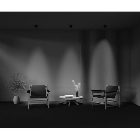 Потолочный светильник Technical C217CL-15W3K-B, изображение 10