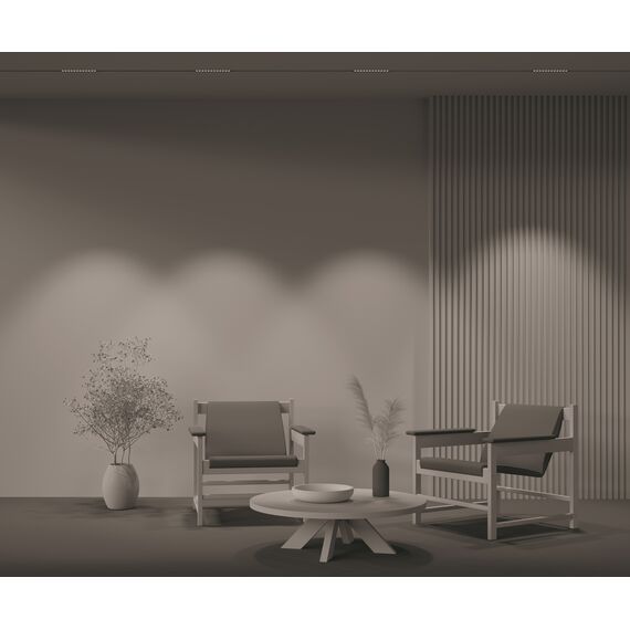 Трековый светильник Technical TR031-2-12W3K-B, изображение 6