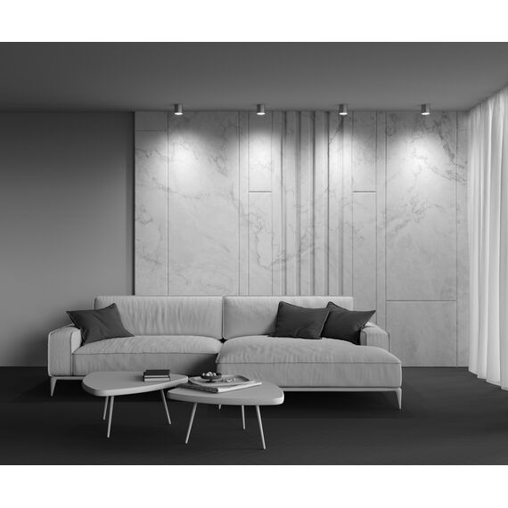 Потолочный светильник Technical C088CL-GX53-S, изображение 7