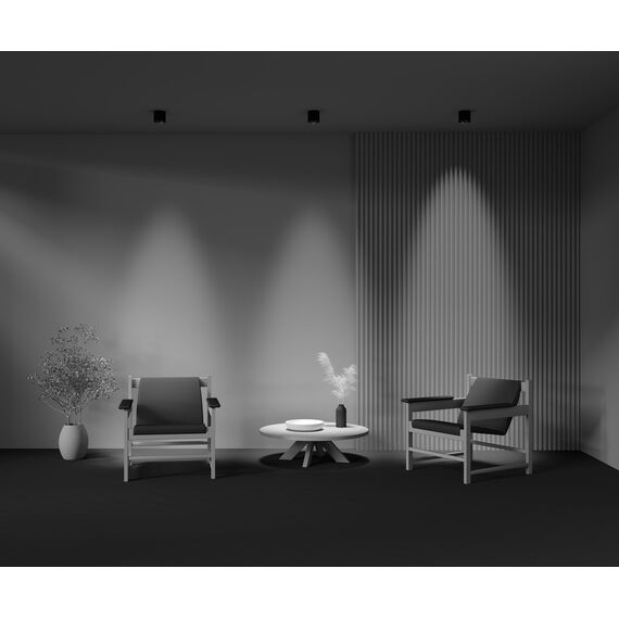 Потолочный светильник Technical C217CL-15W4K-B, изображение 10