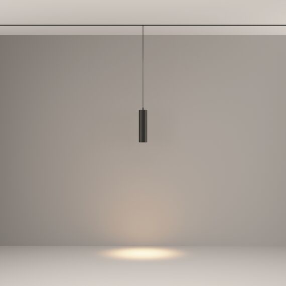 Трековый подвесной светильник Technical TR041-2-12W3K-B, изображение 4