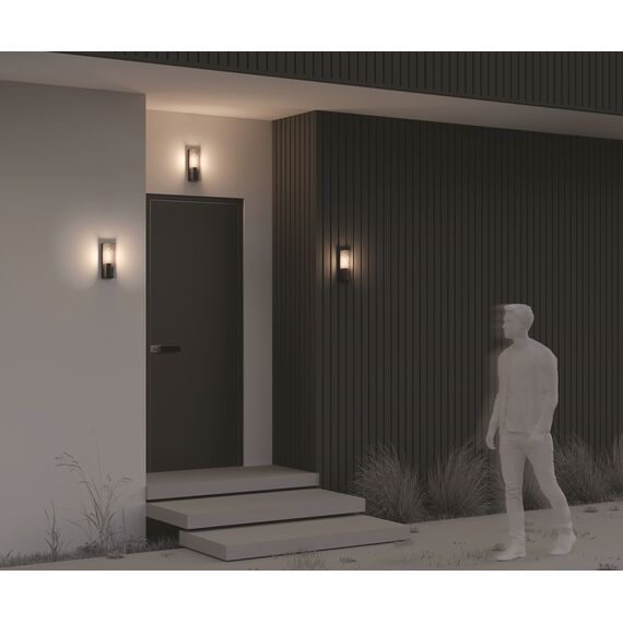 Настенный светильник (бра) Outdoor O450WL-01GF, изображение 7