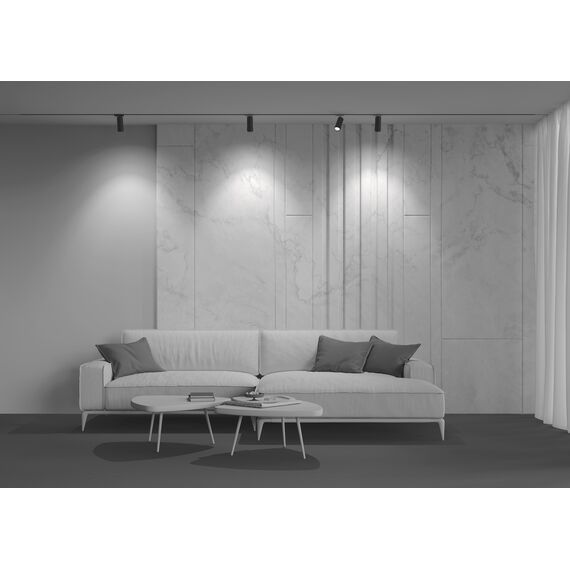 Трековый светильник Technical TR021-1-124K-Z-B, изображение 3