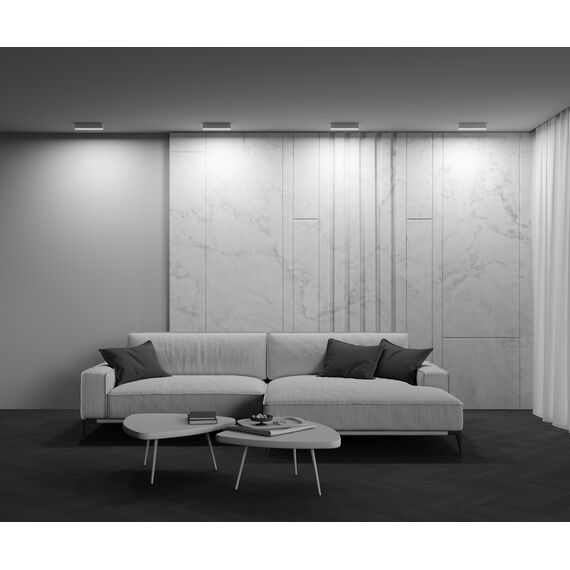 Потолочный светильник Technical C068CL-20W3-6K-W, изображение 6